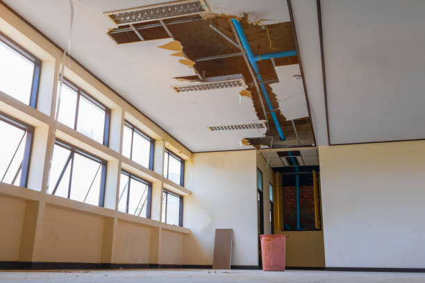 Best Residential water damage restoration  in Meadowood, PA