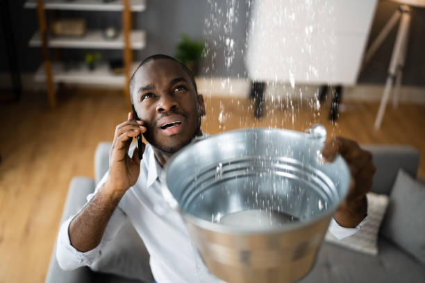 Best Water damage restoration near me  in Meadowood, PA