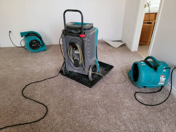 Best 24-hour water damage restoration  in Meadowood, PA