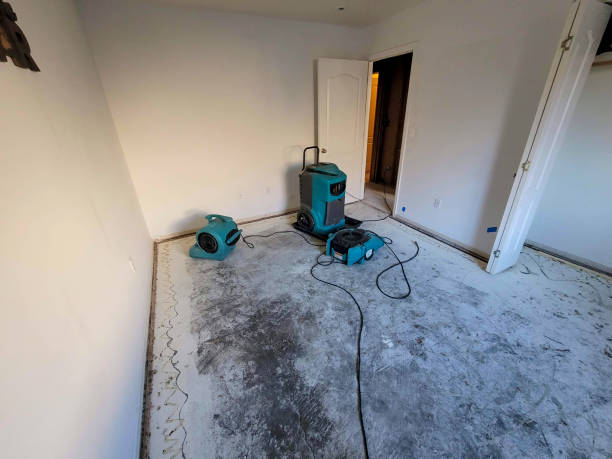 Best Local water damage restoration  in Meadowood, PA