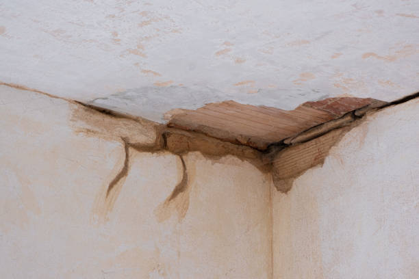Best 24/7 water damage repair  in Meadowood, PA