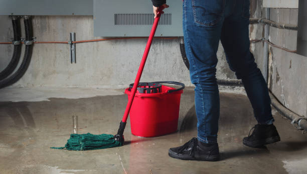 Meadowood, PA Water damage restoration Pros