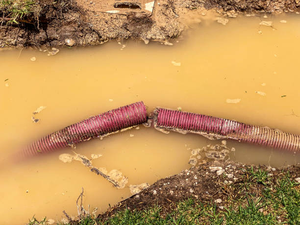 Best Basement water damage restoration  in Meadowood, PA