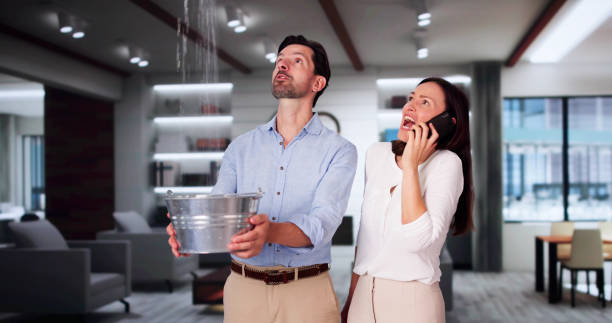Best Ceiling water damage repair  in Meadowood, PA