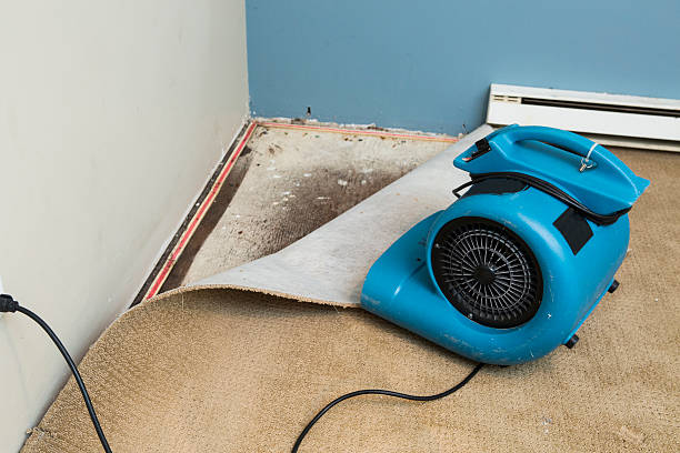 Best Flooded house restoration  in Meadowood, PA